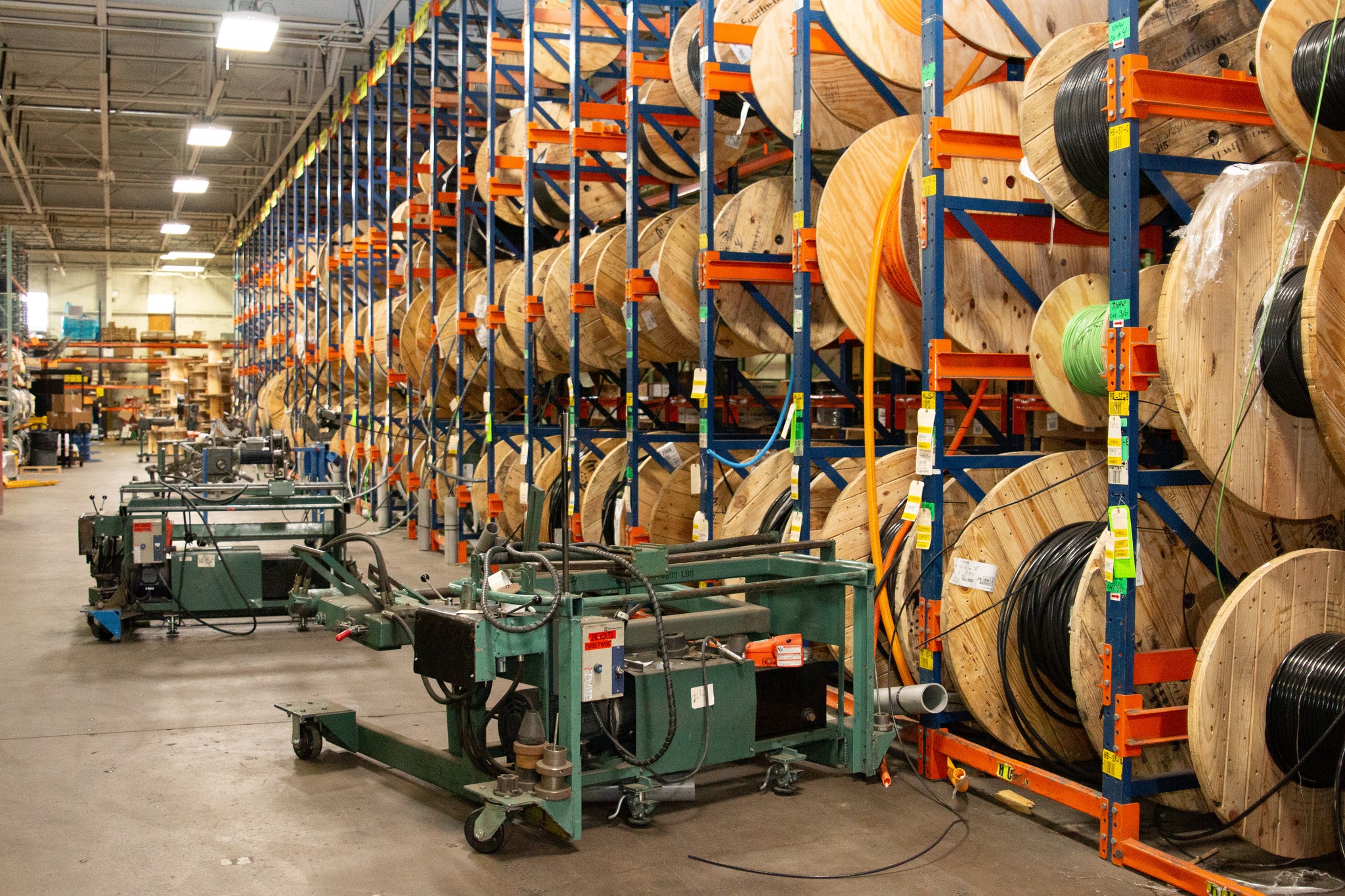 Picture of the author